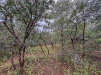  of property in Marloth Park