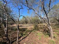  of property in Marloth Park