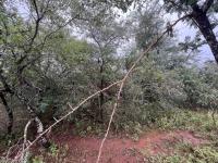  of property in Marloth Park