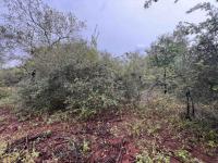  of property in Marloth Park