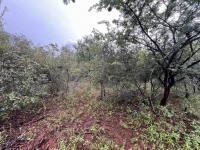  of property in Marloth Park