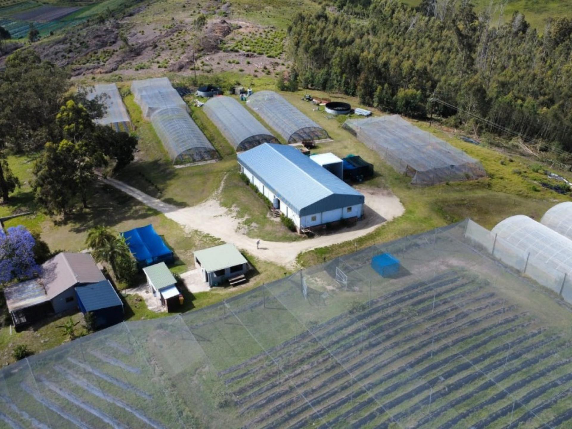  of property in Sedgefield