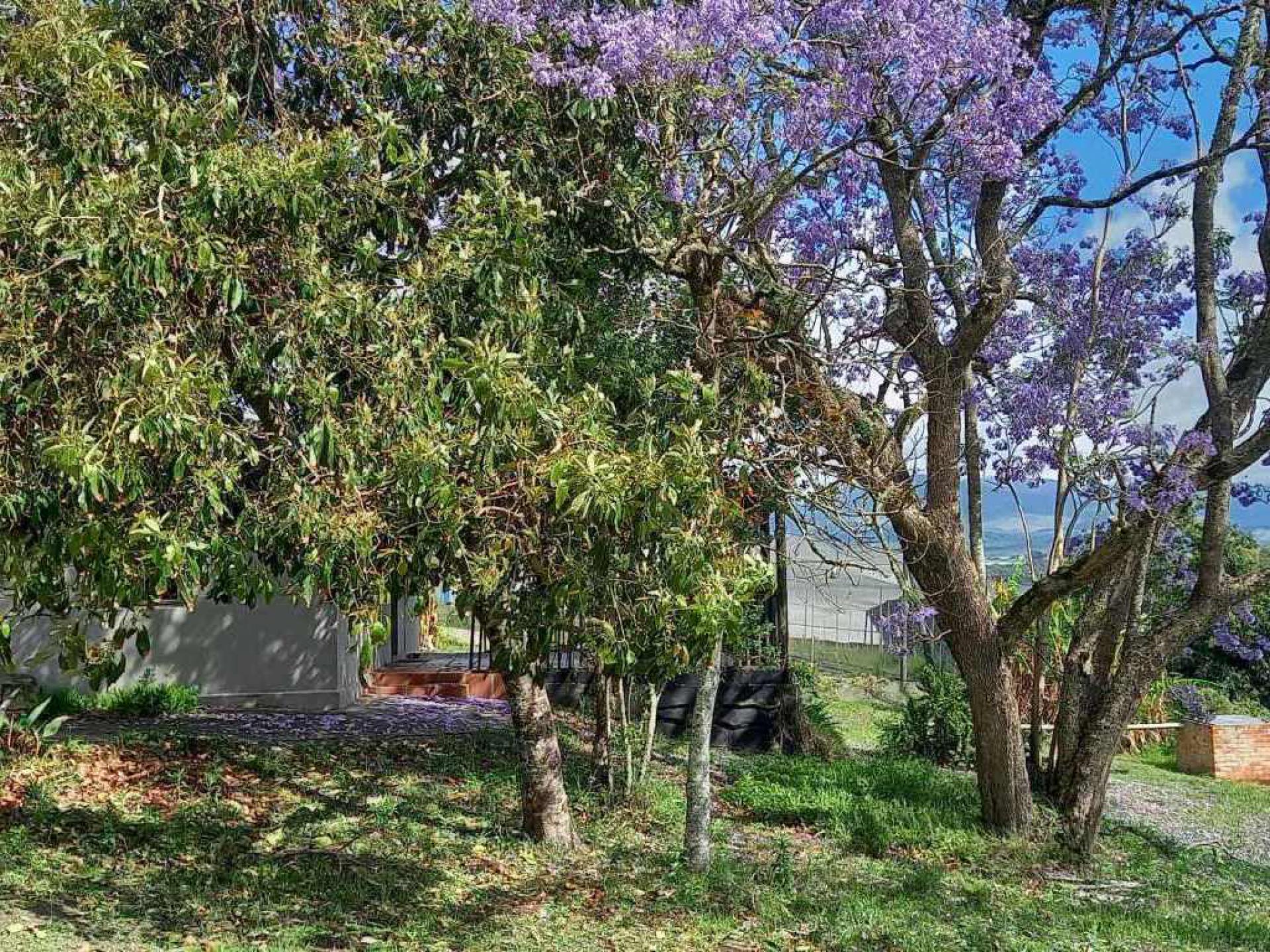  of property in Sedgefield