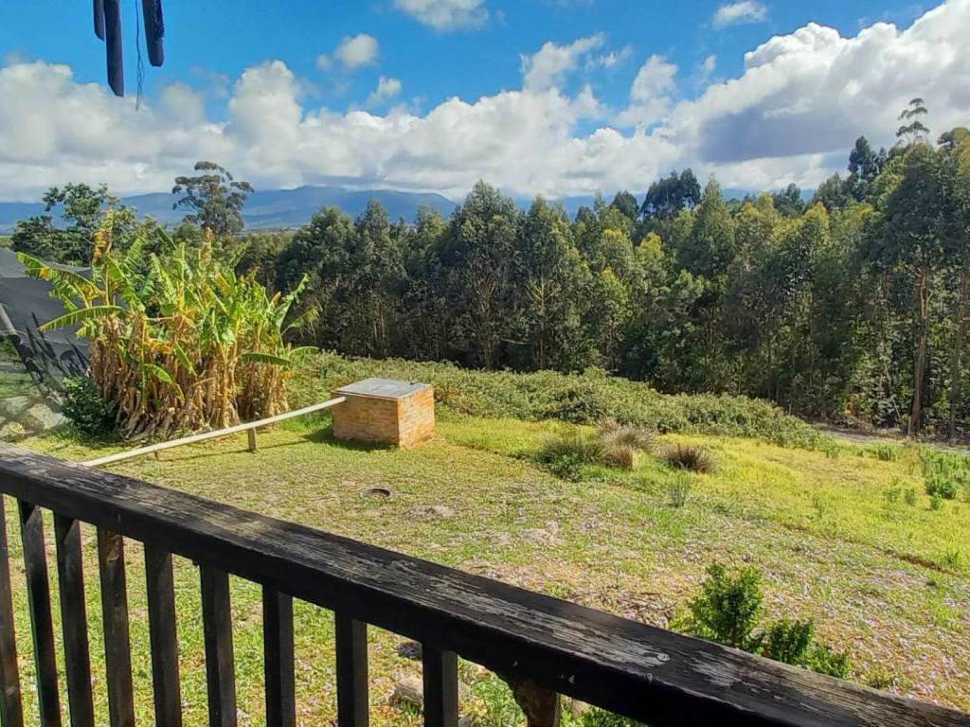  of property in Sedgefield