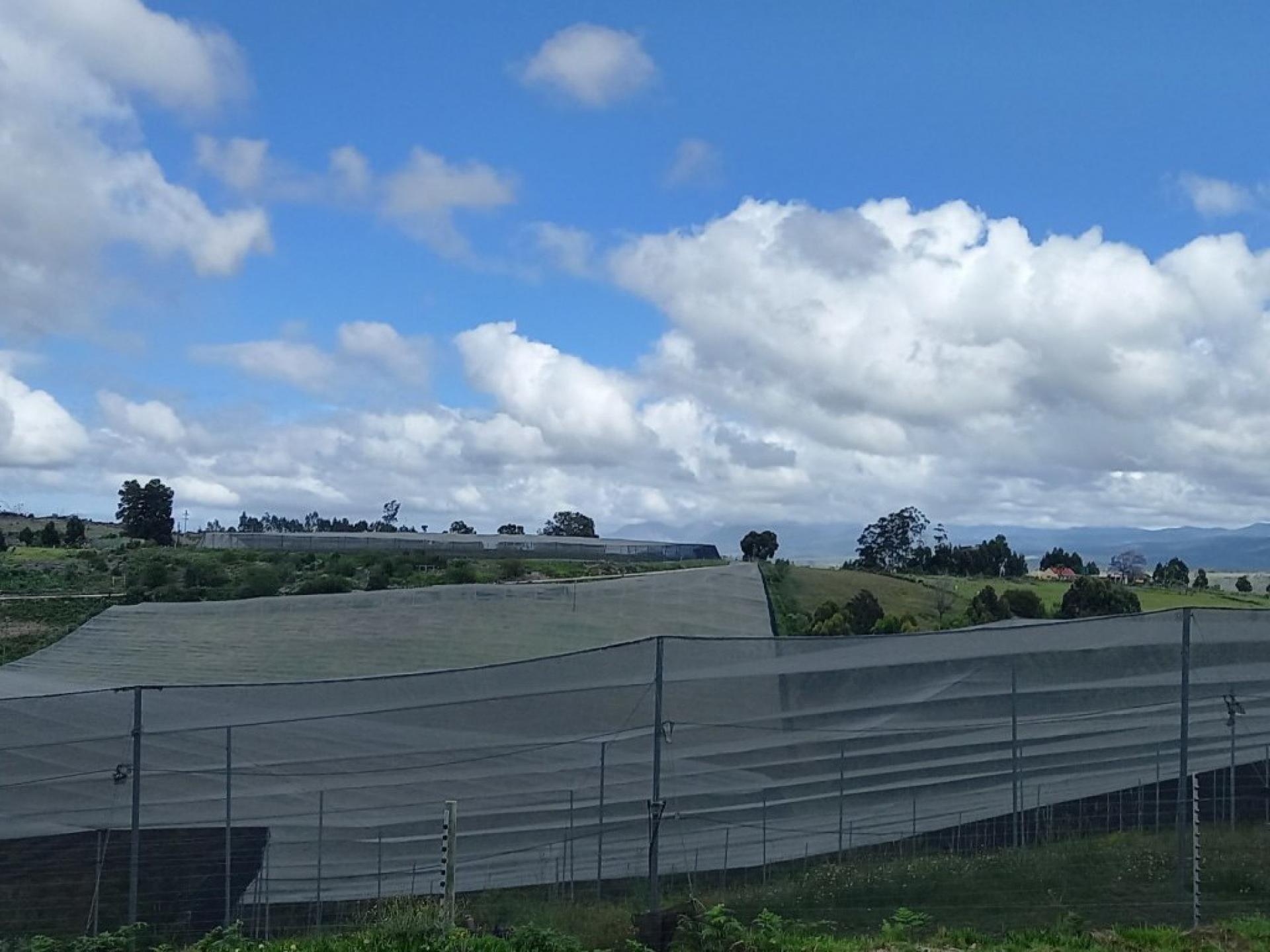  of property in Sedgefield