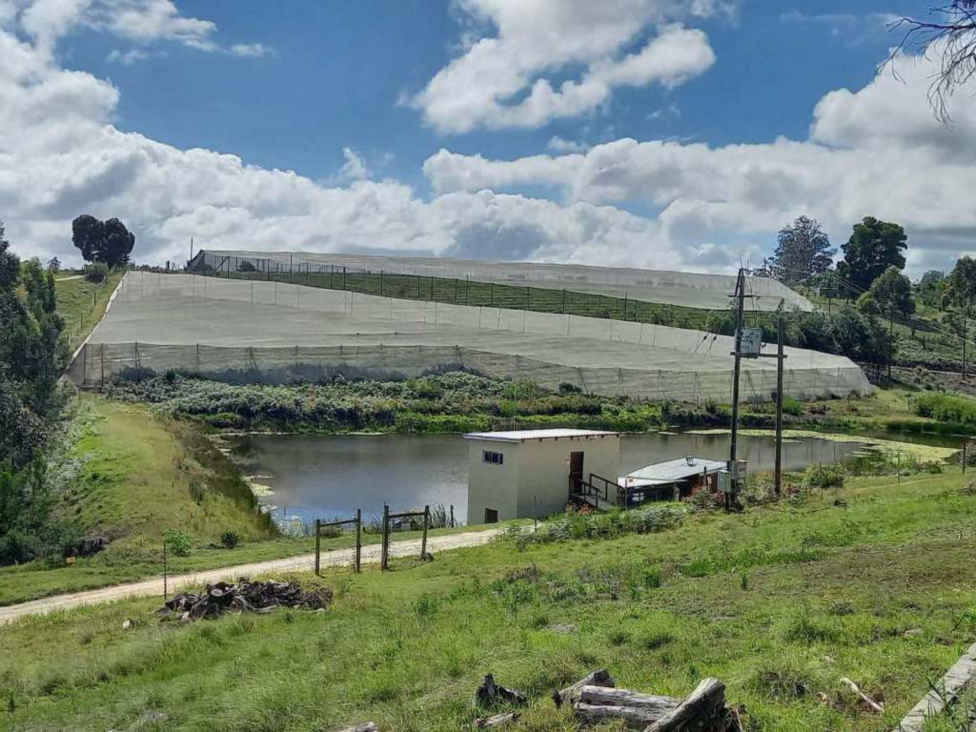  of property in Sedgefield