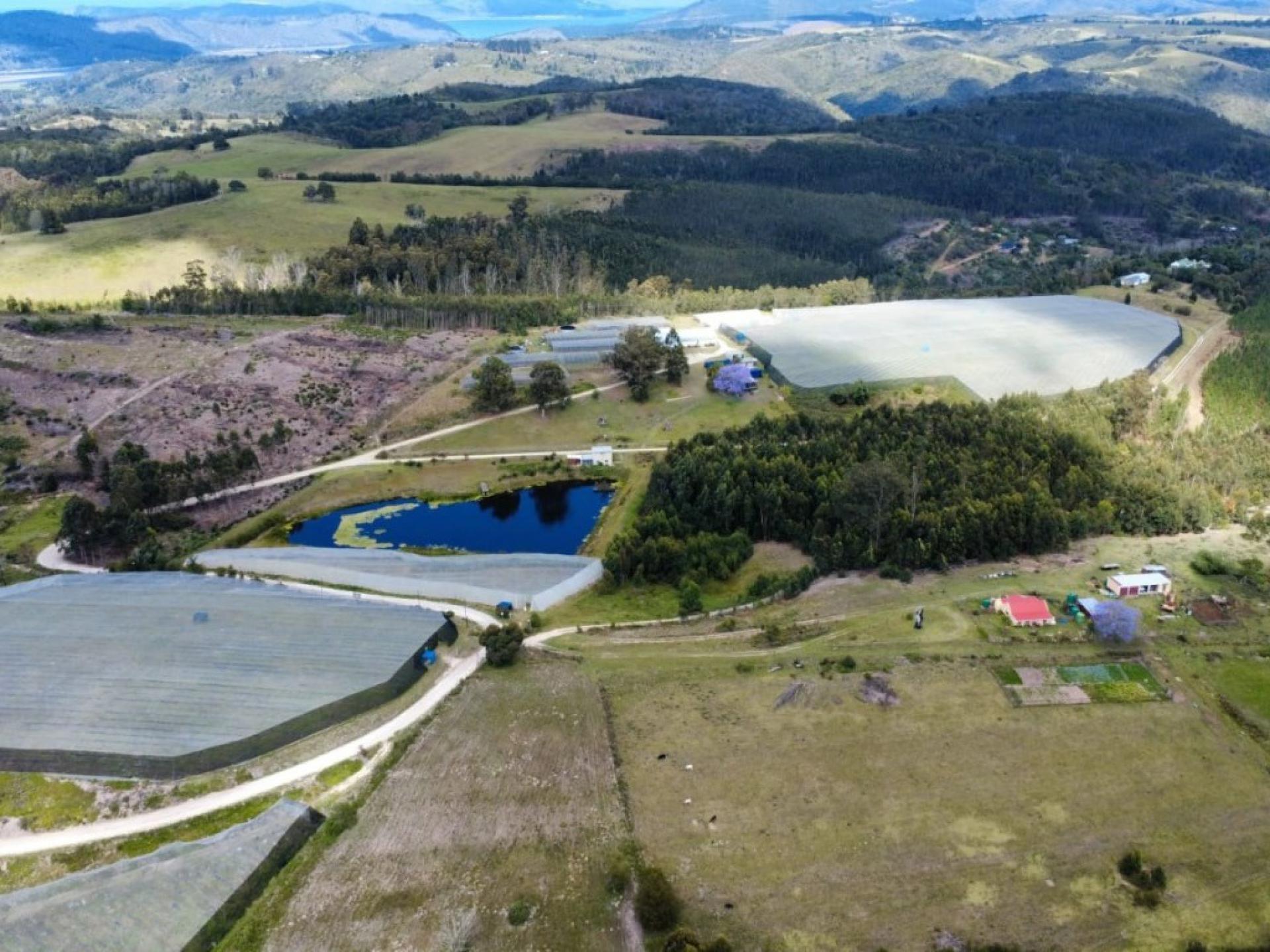  of property in Sedgefield