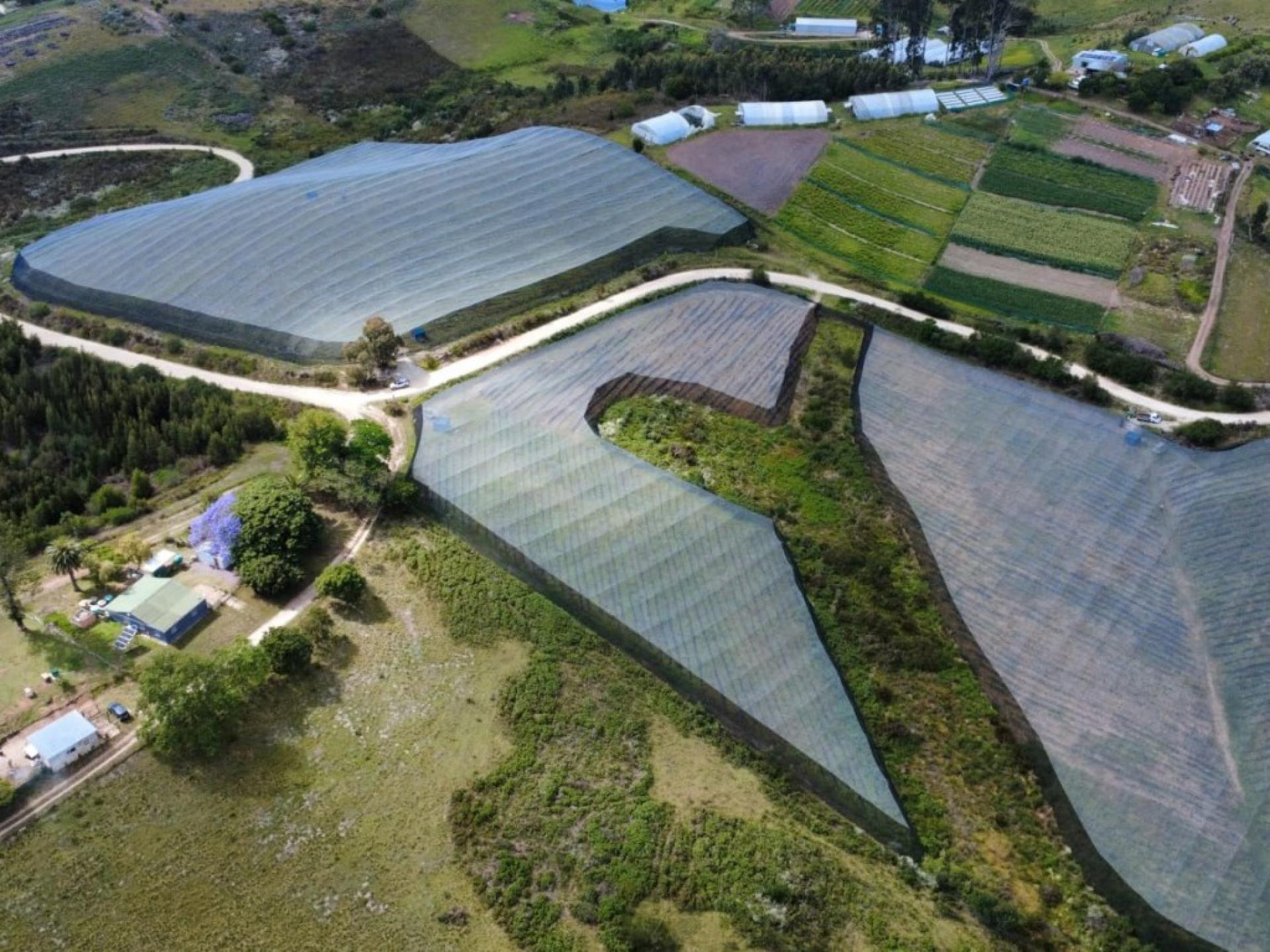  of property in Sedgefield