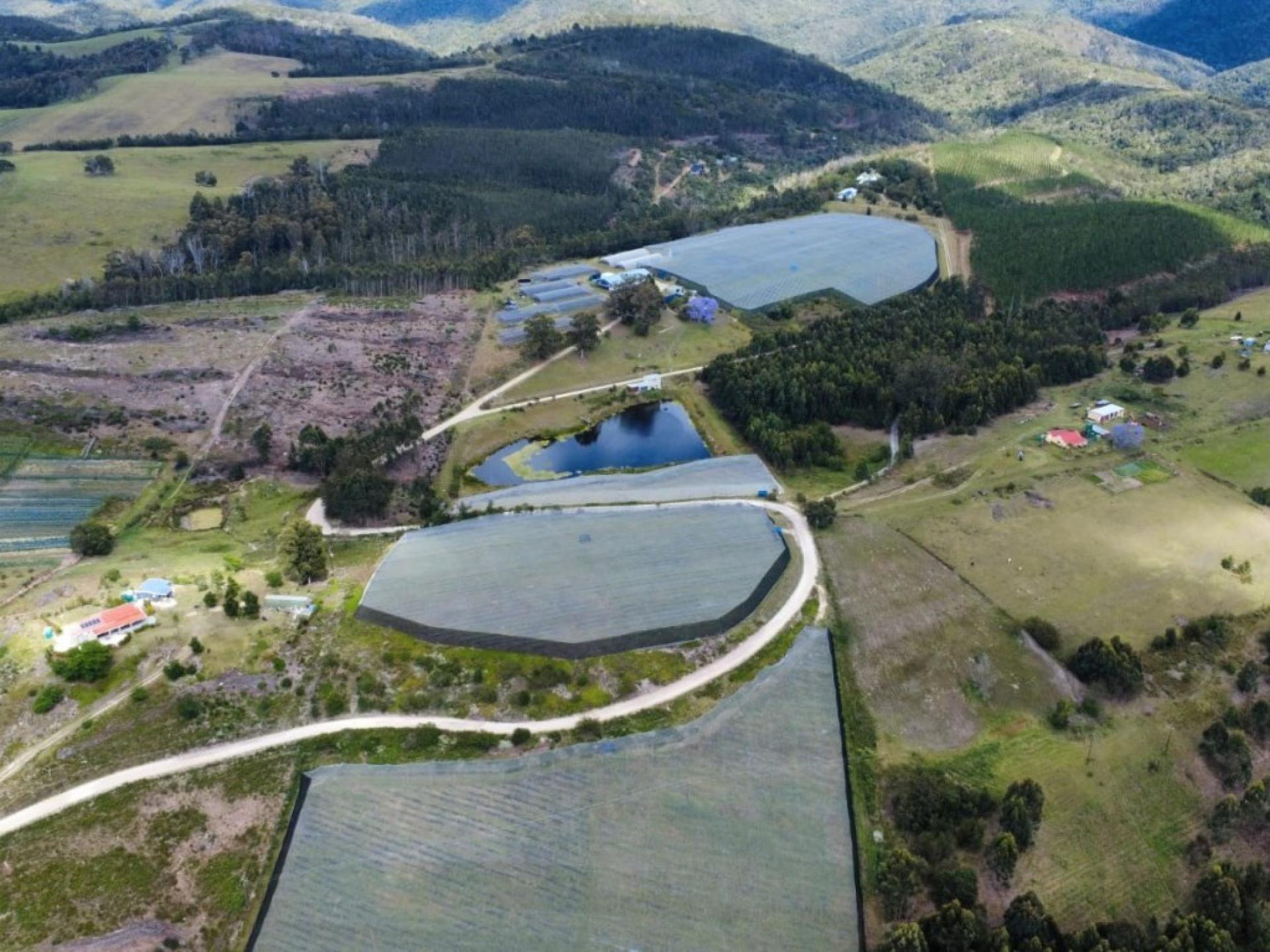  of property in Sedgefield