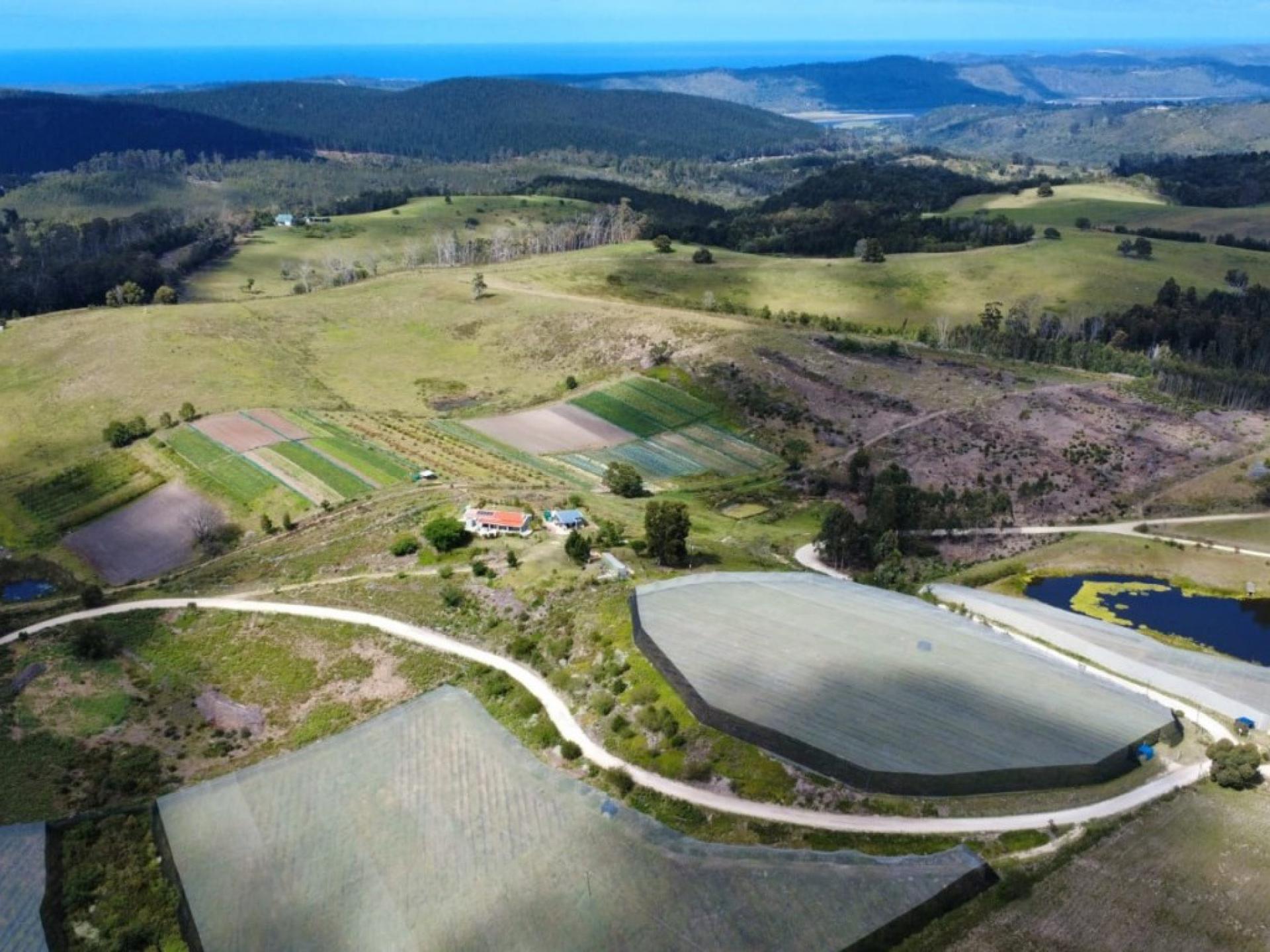 of property in Sedgefield