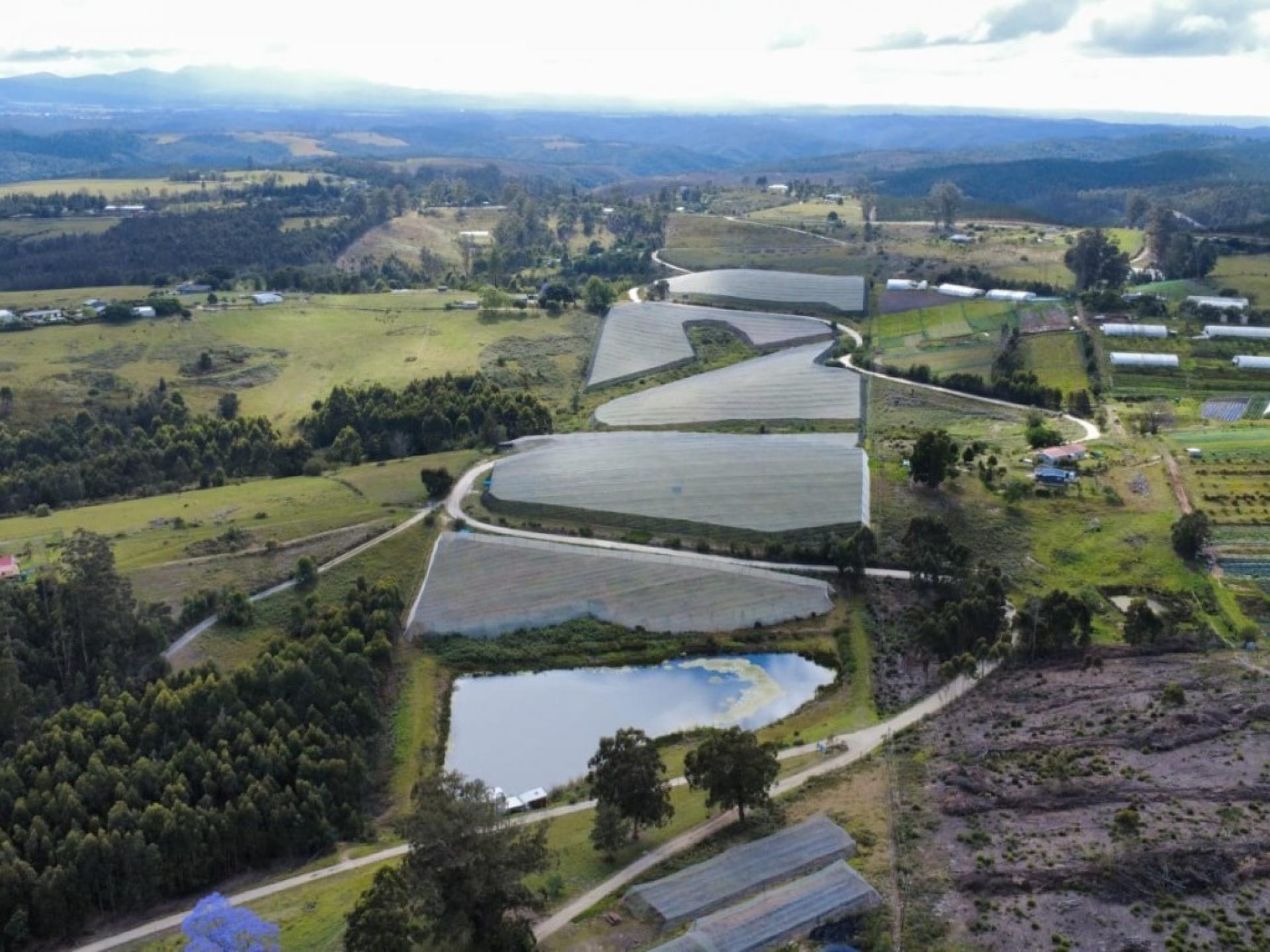  of property in Sedgefield