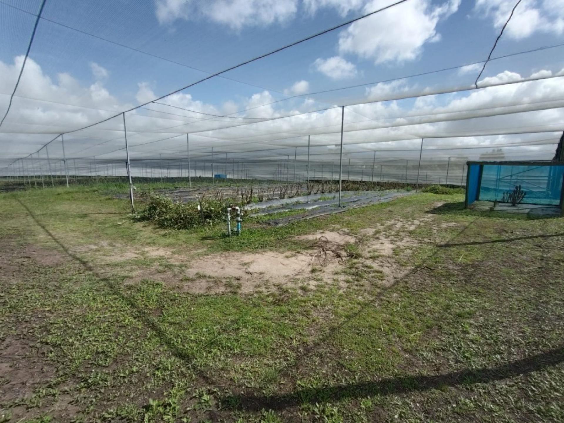  of property in Sedgefield