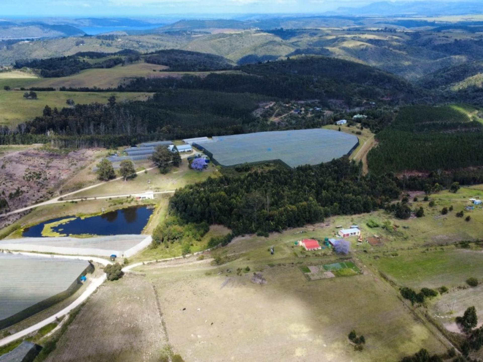  of property in Sedgefield