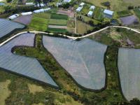  of property in Sedgefield