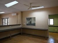  of property in Hoedspruit