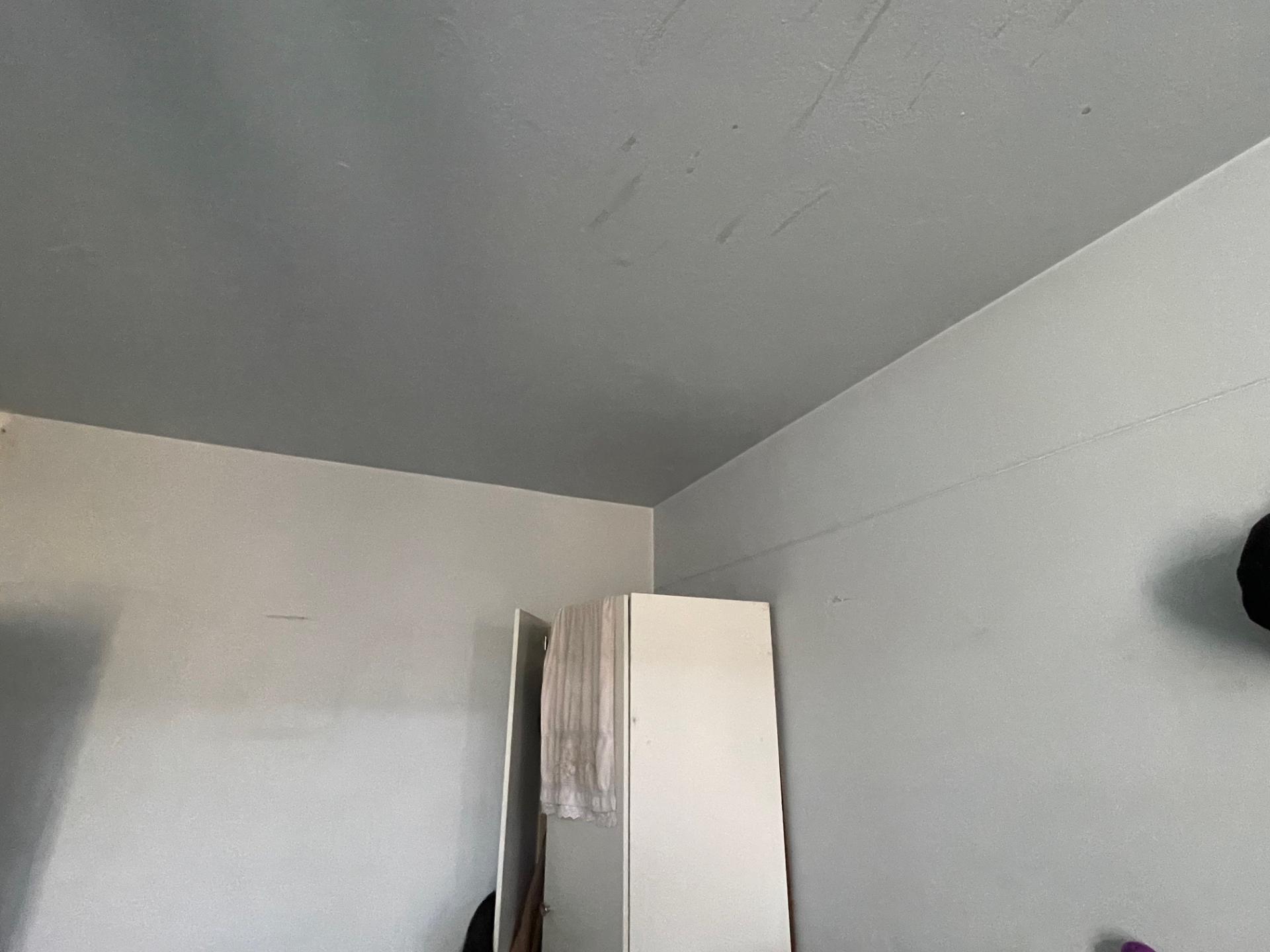  of property in Sunnyside