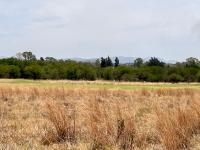  of property in Parys