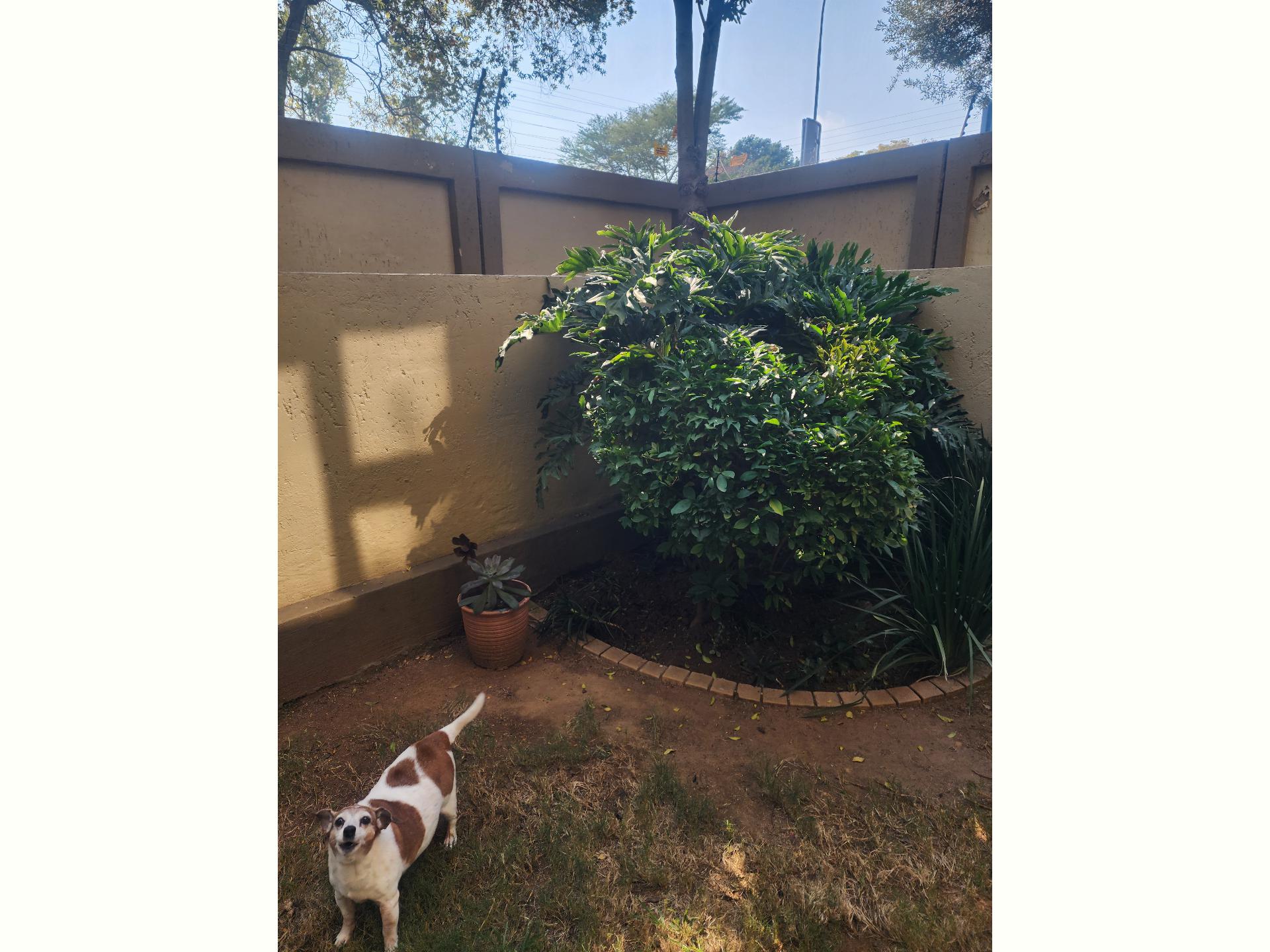  of property in Lone Hill