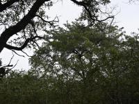  of property in Hoedspruit