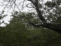  of property in Hoedspruit