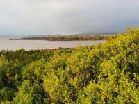  of property in Hermanus