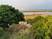  of property in Hermanus