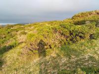  of property in Hermanus