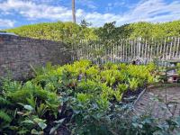  of property in Wilderness