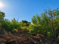 of property in Cashan