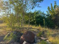  of property in Cashan