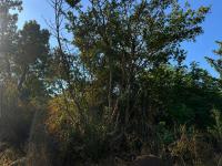  of property in Cashan