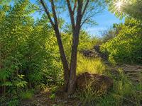  of property in Cashan