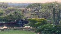 Garden of property in Kameelfontein