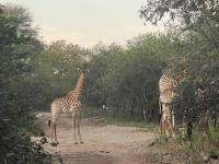  of property in Marloth Park