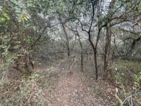  of property in Marloth Park