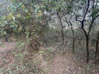  of property in Marloth Park