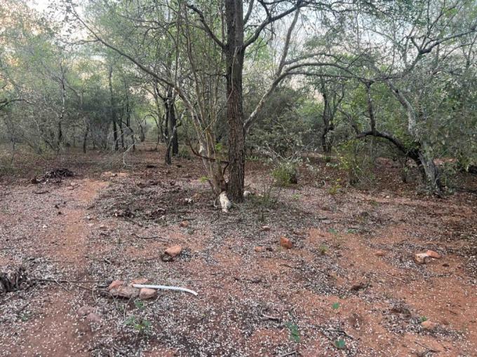 Land for Sale For Sale in Marloth Park - MR715048