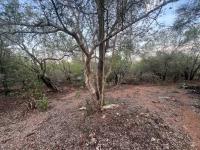 of property in Marloth Park