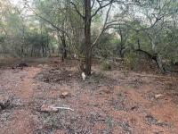  of property in Marloth Park