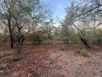  of property in Marloth Park