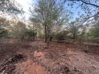  of property in Marloth Park