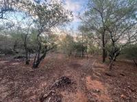  of property in Marloth Park
