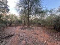  of property in Marloth Park
