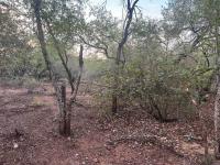  of property in Marloth Park