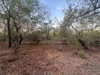  of property in Marloth Park