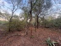  of property in Marloth Park