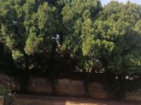  of property in Linmeyer