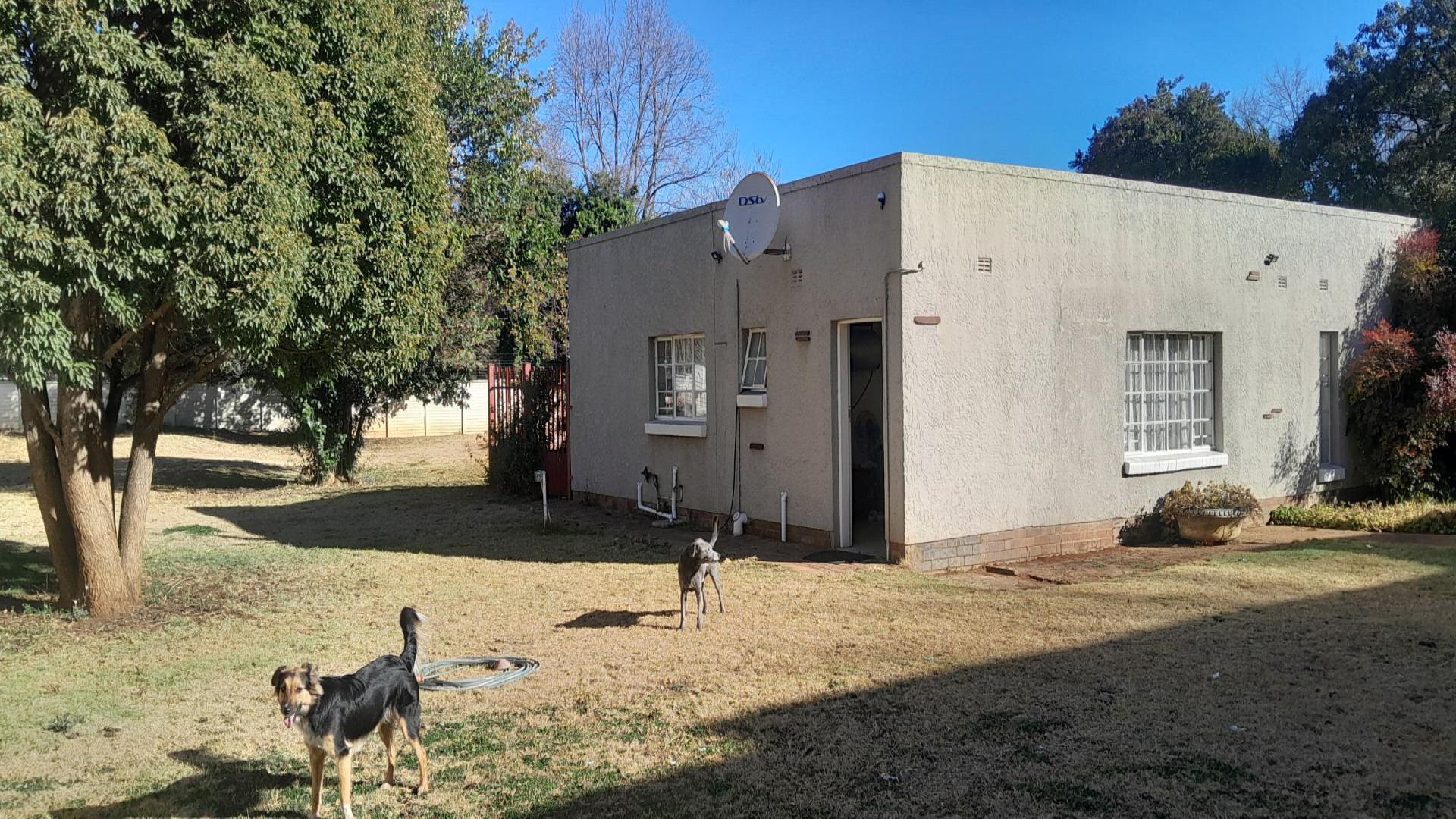 Backyard of property in Three Rivers