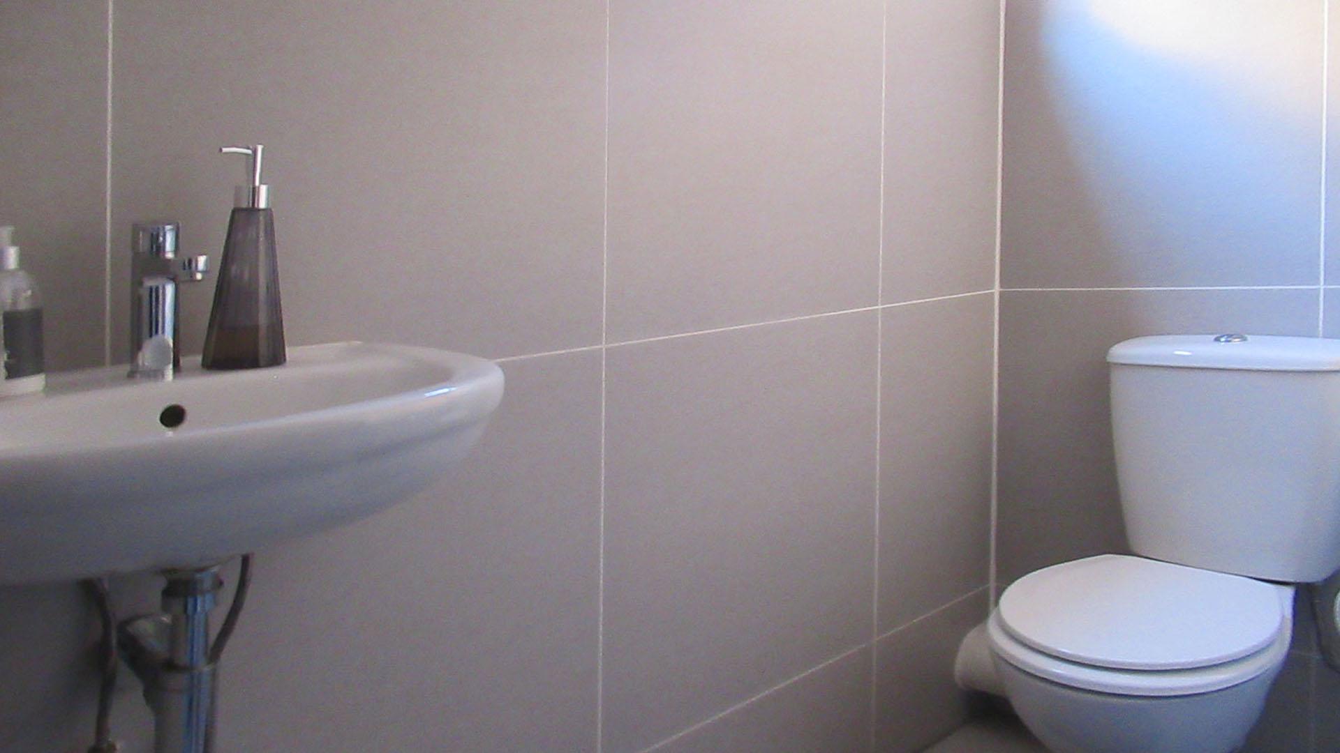Guest Toilet - 3 square meters of property in Ruimsig