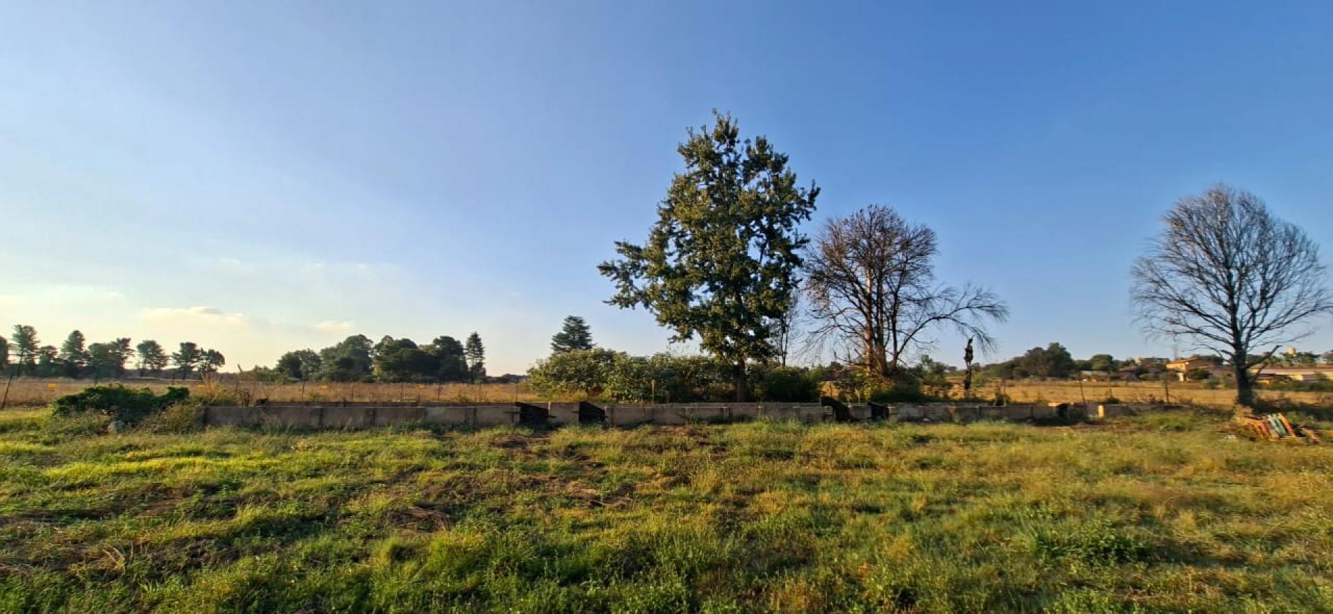  of property in Rietfontein JR